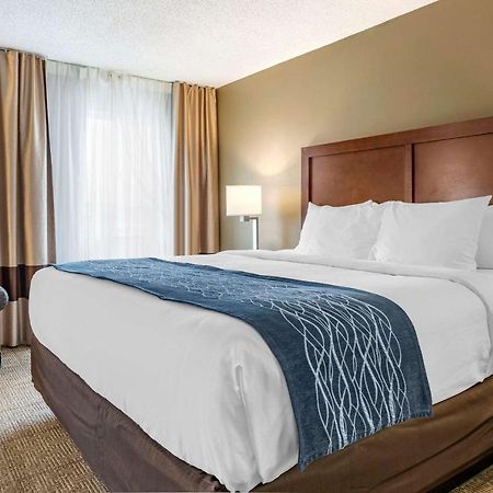 Comfort Inn & Suites Dimondale - Lansing Eksteriør billede