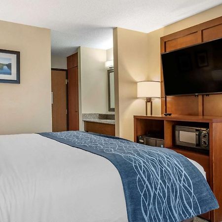 Comfort Inn & Suites Dimondale - Lansing Eksteriør billede