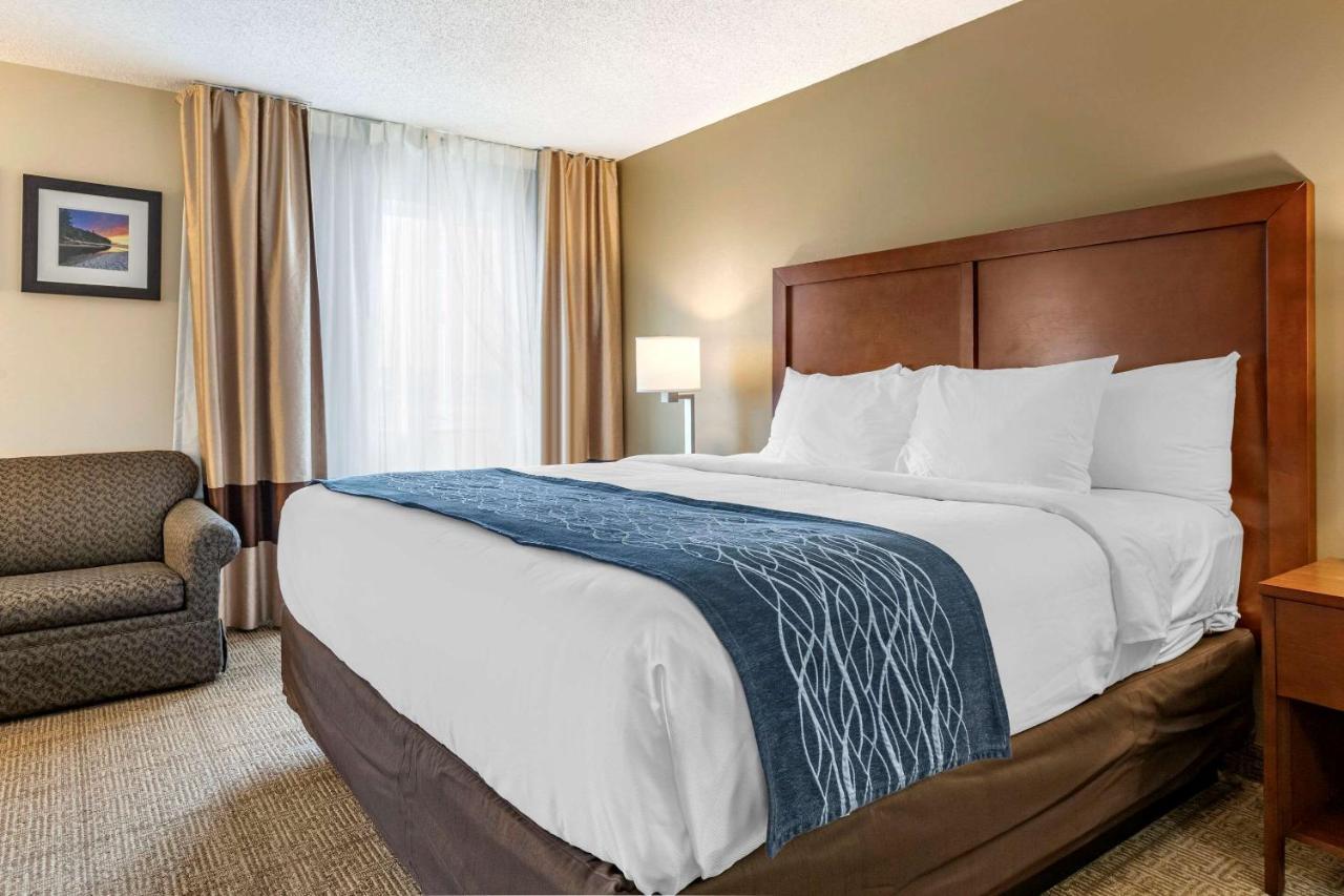 Comfort Inn & Suites Dimondale - Lansing Eksteriør billede