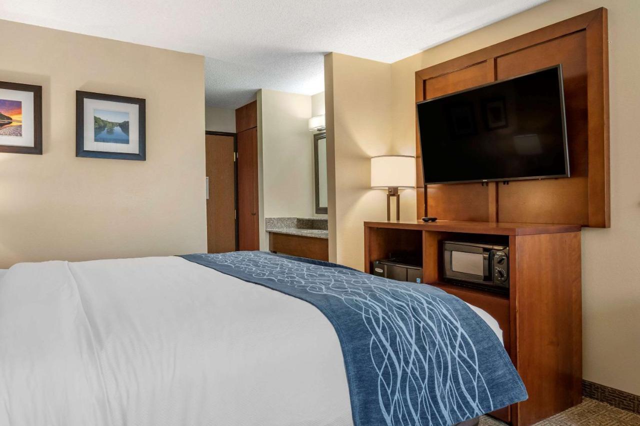 Comfort Inn & Suites Dimondale - Lansing Eksteriør billede
