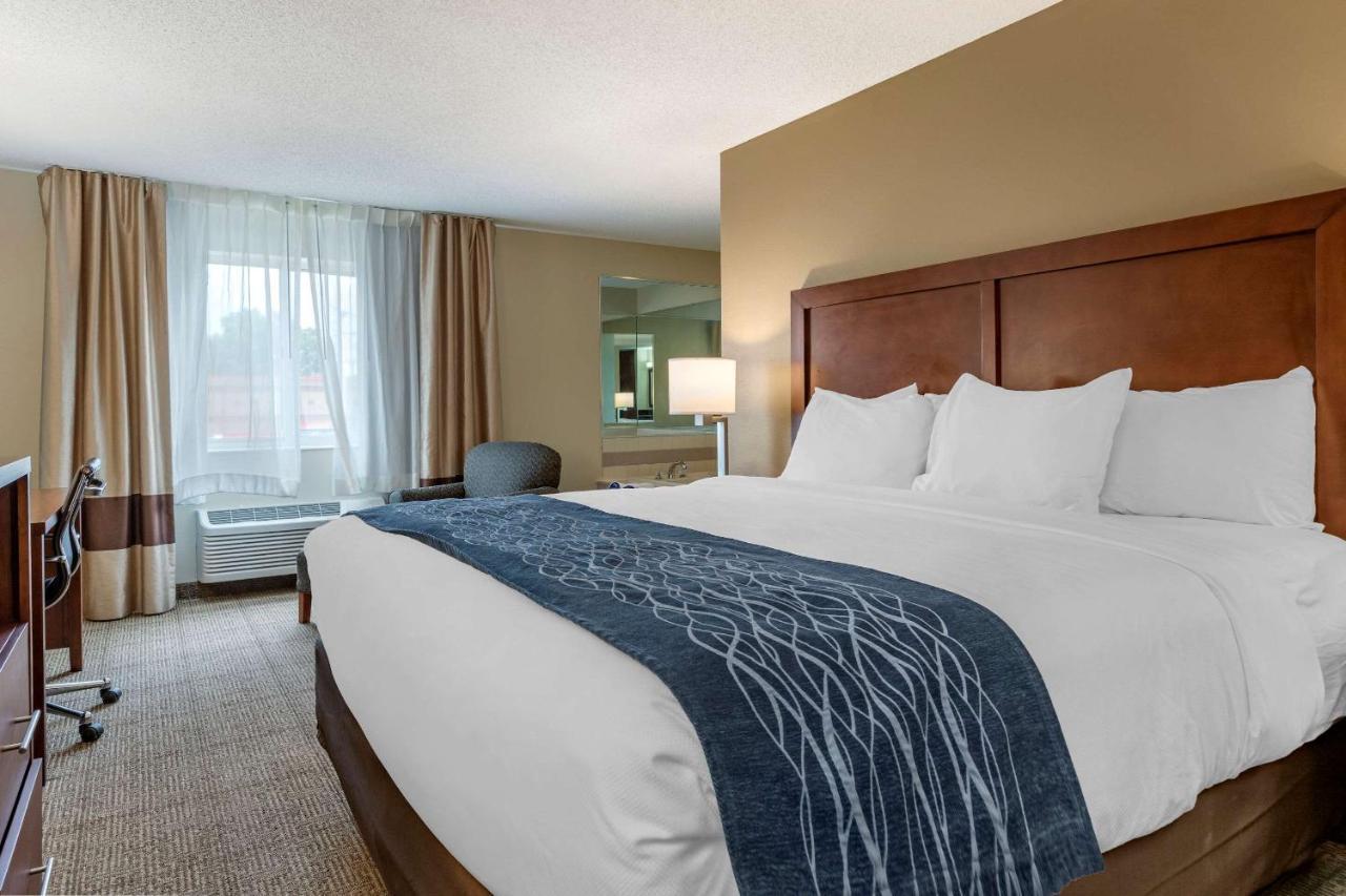 Comfort Inn & Suites Dimondale - Lansing Eksteriør billede