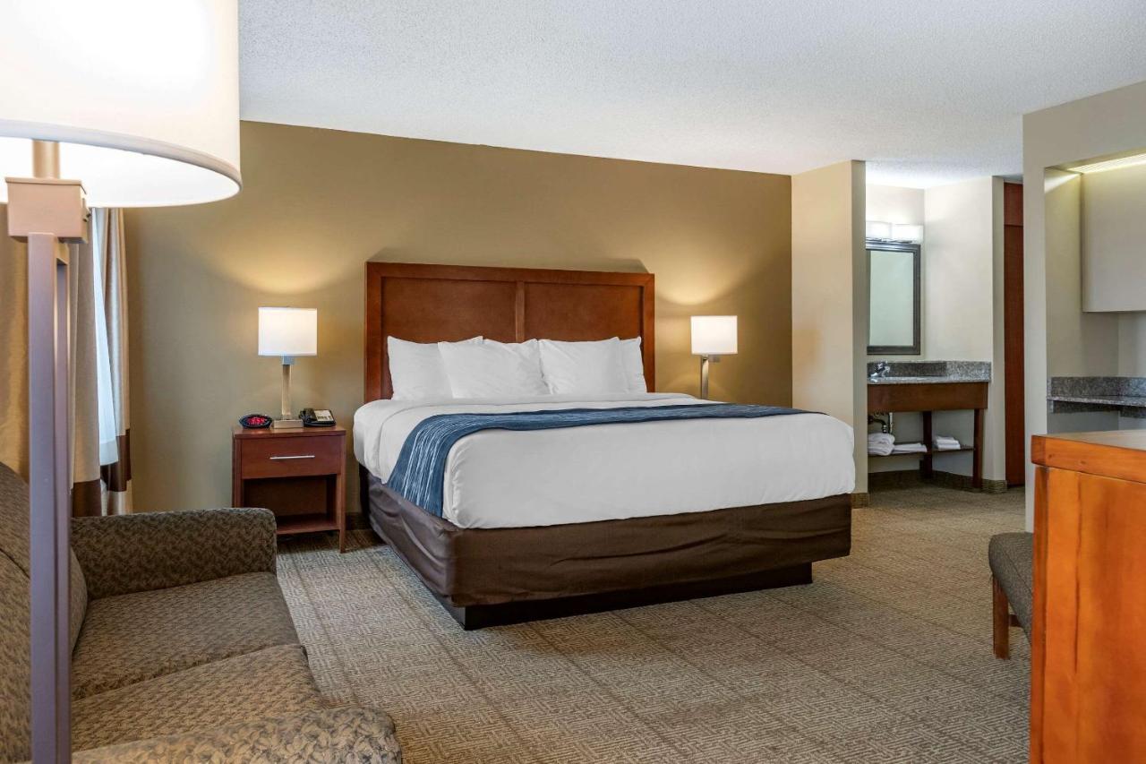 Comfort Inn & Suites Dimondale - Lansing Eksteriør billede