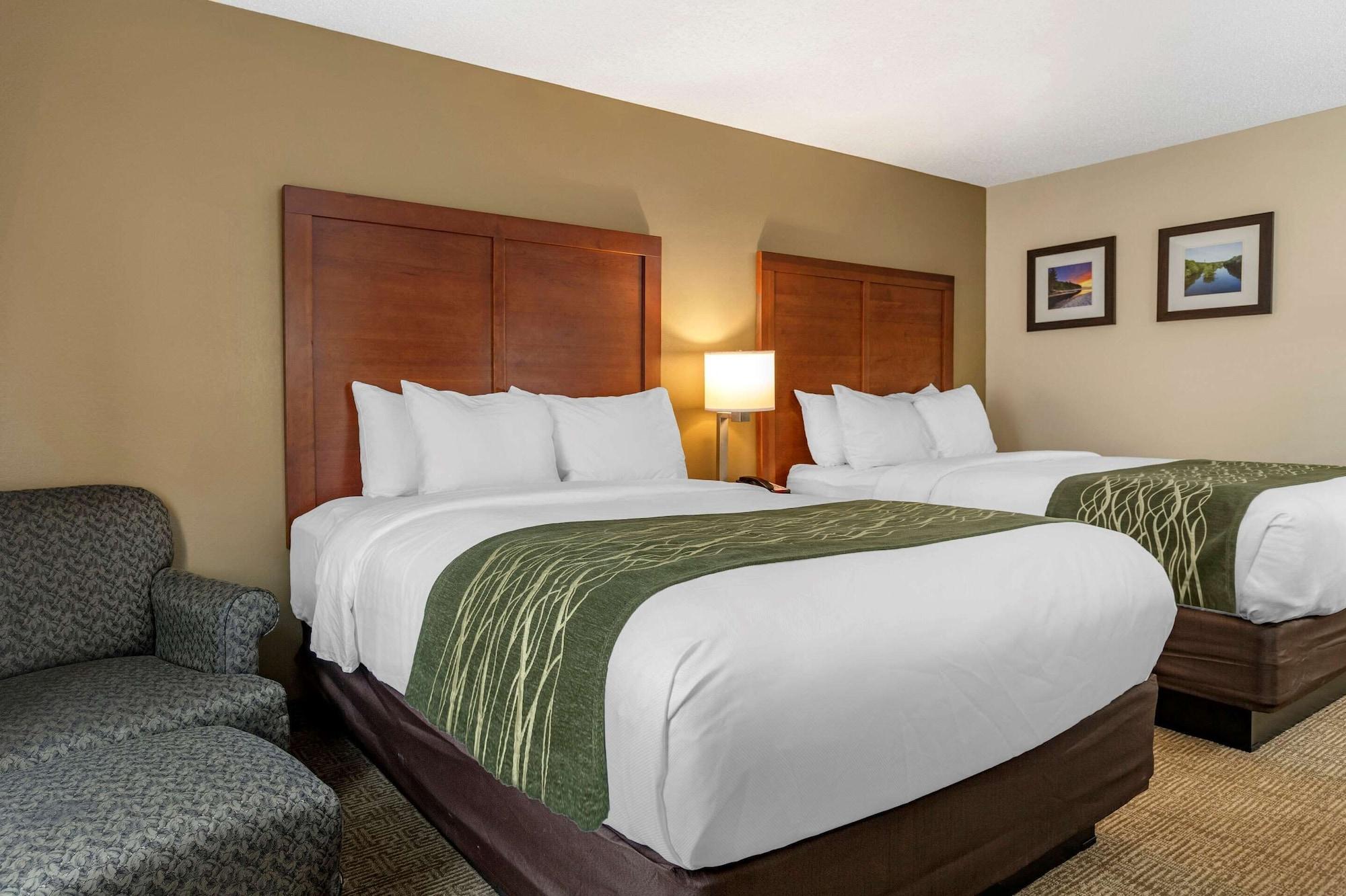 Comfort Inn & Suites Dimondale - Lansing Eksteriør billede