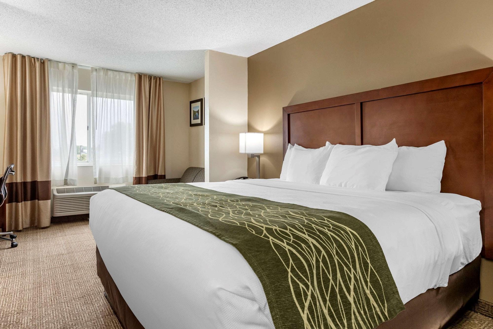 Comfort Inn & Suites Dimondale - Lansing Eksteriør billede