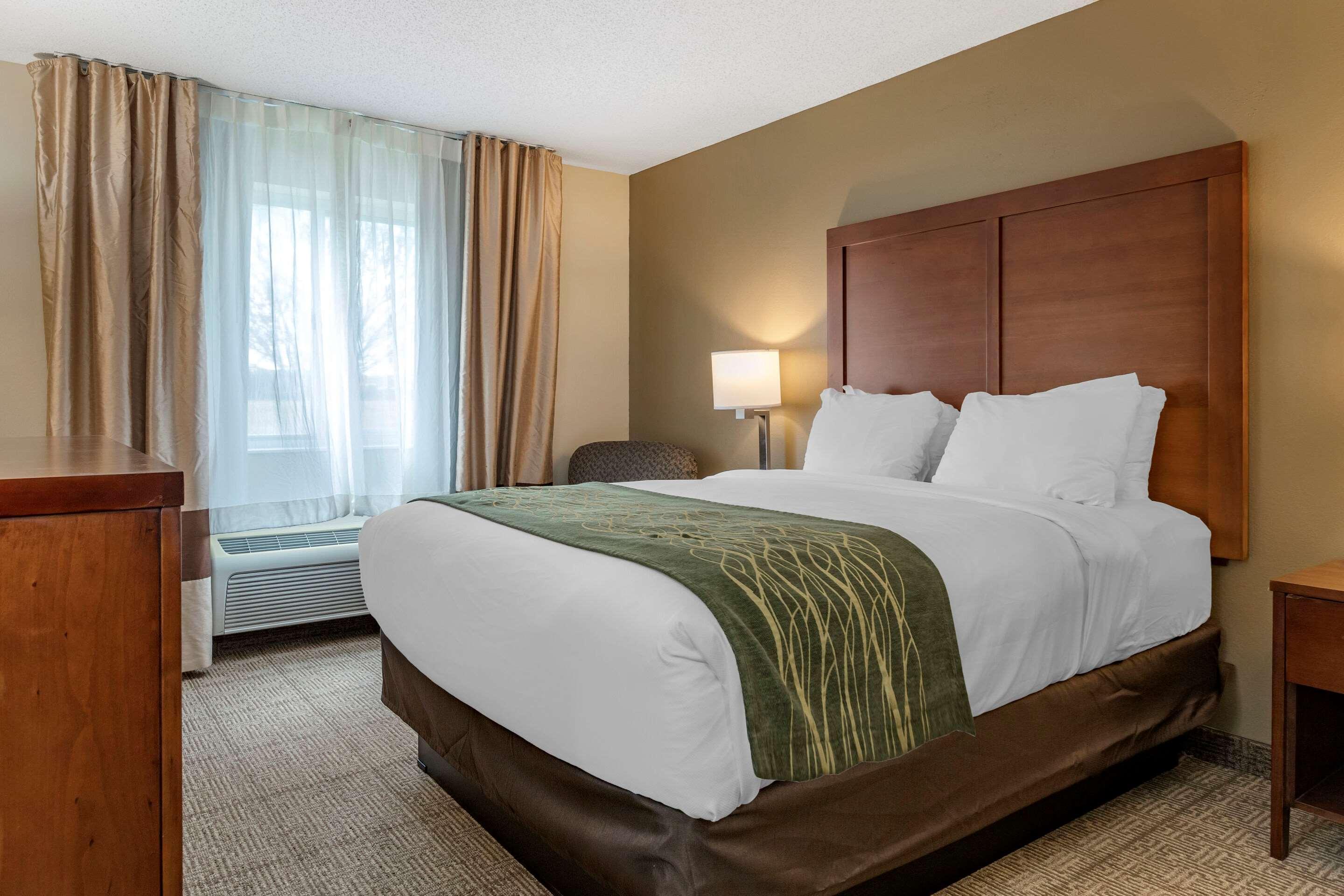 Comfort Inn & Suites Dimondale - Lansing Eksteriør billede