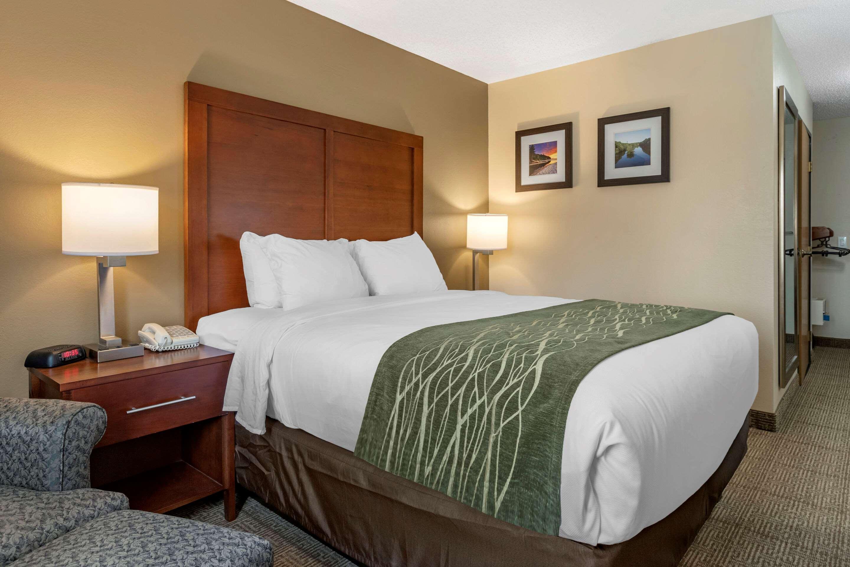 Comfort Inn & Suites Dimondale - Lansing Eksteriør billede