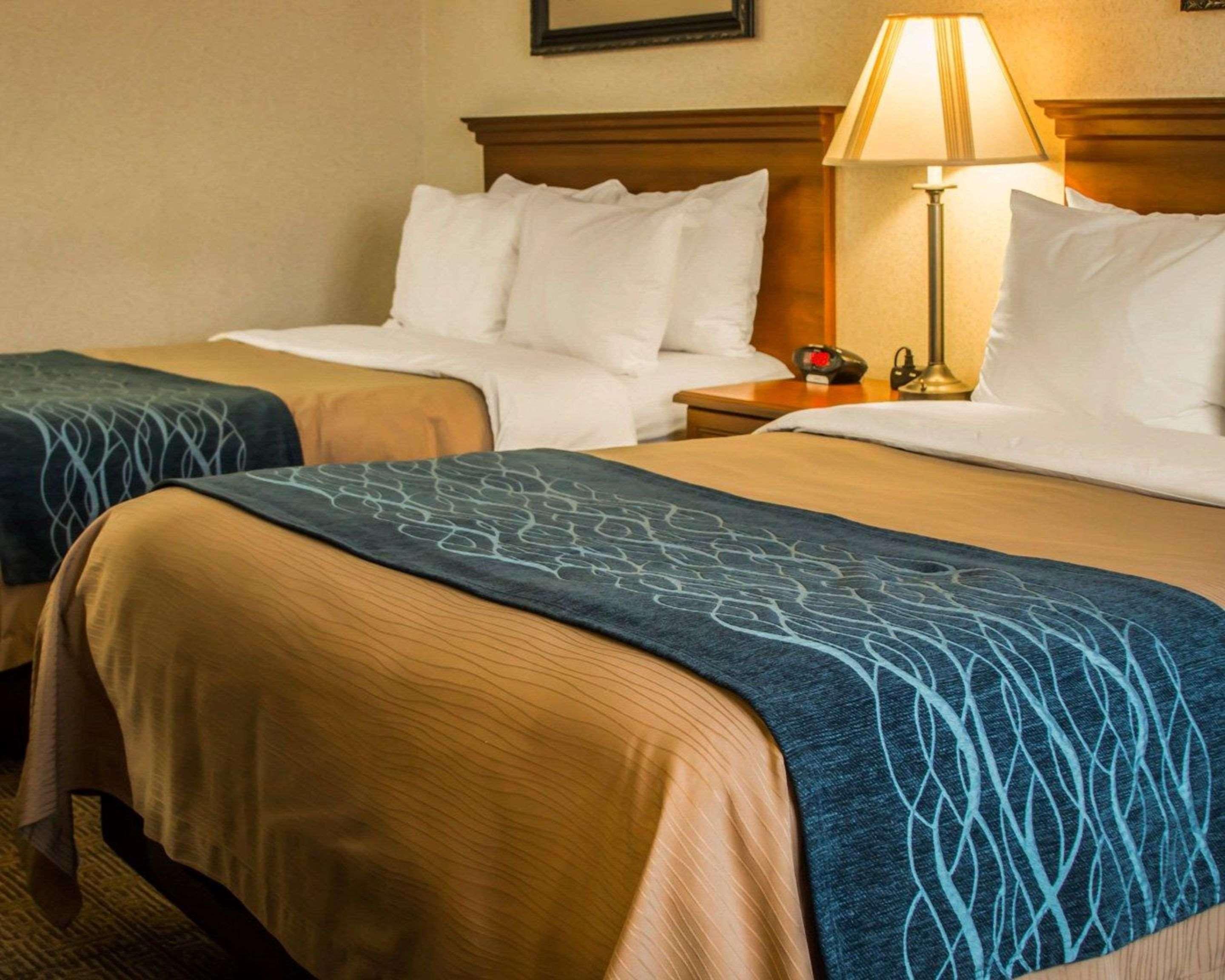 Comfort Inn & Suites Dimondale - Lansing Eksteriør billede