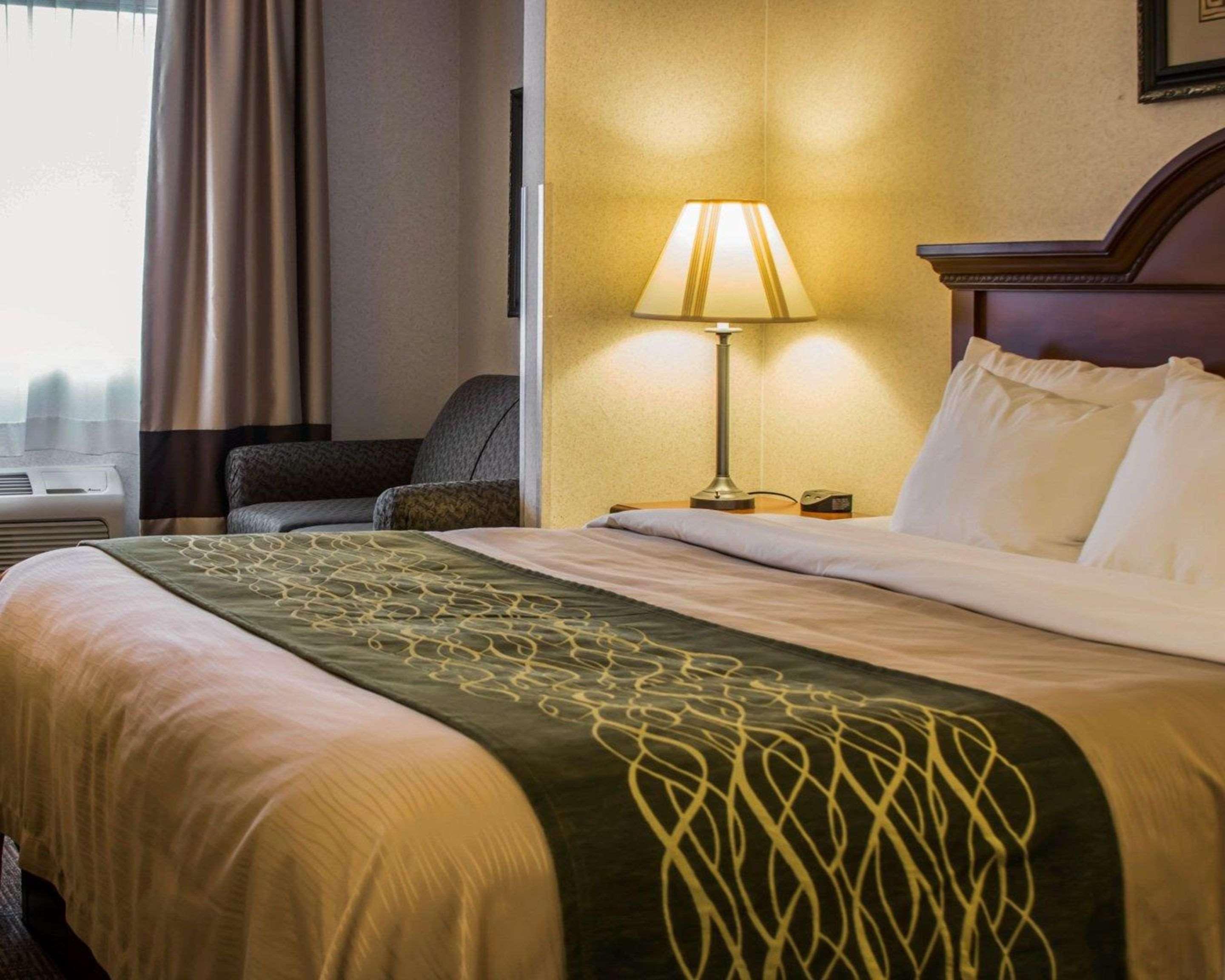 Comfort Inn & Suites Dimondale - Lansing Eksteriør billede