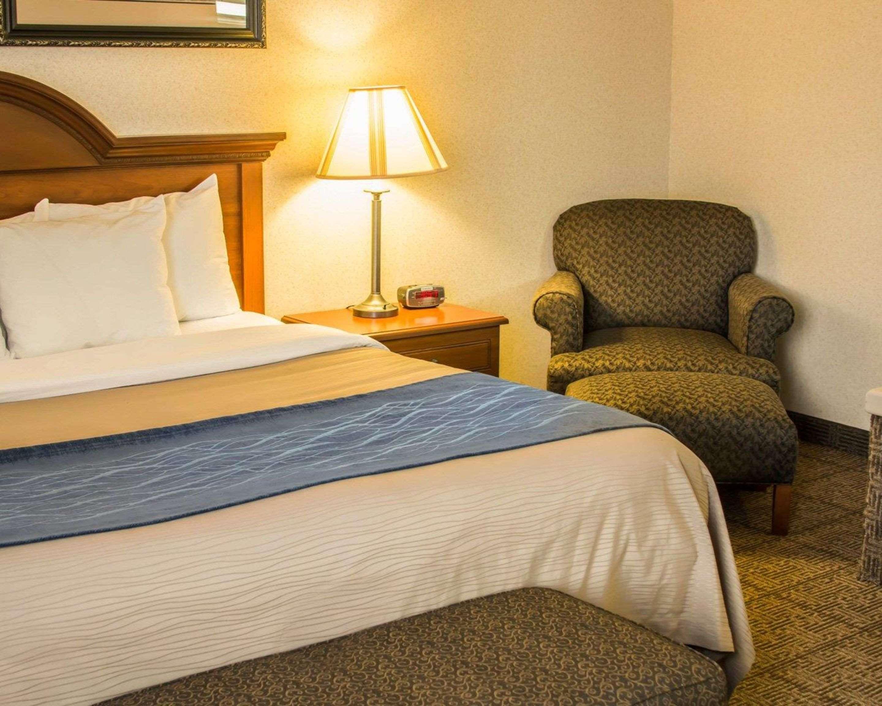 Comfort Inn & Suites Dimondale - Lansing Eksteriør billede