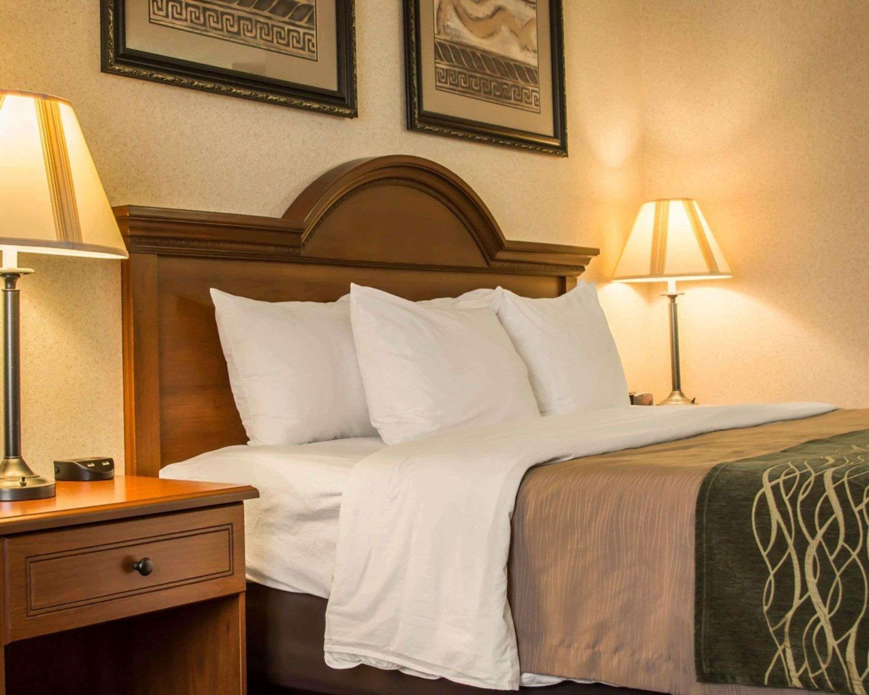 Comfort Inn & Suites Dimondale - Lansing Eksteriør billede