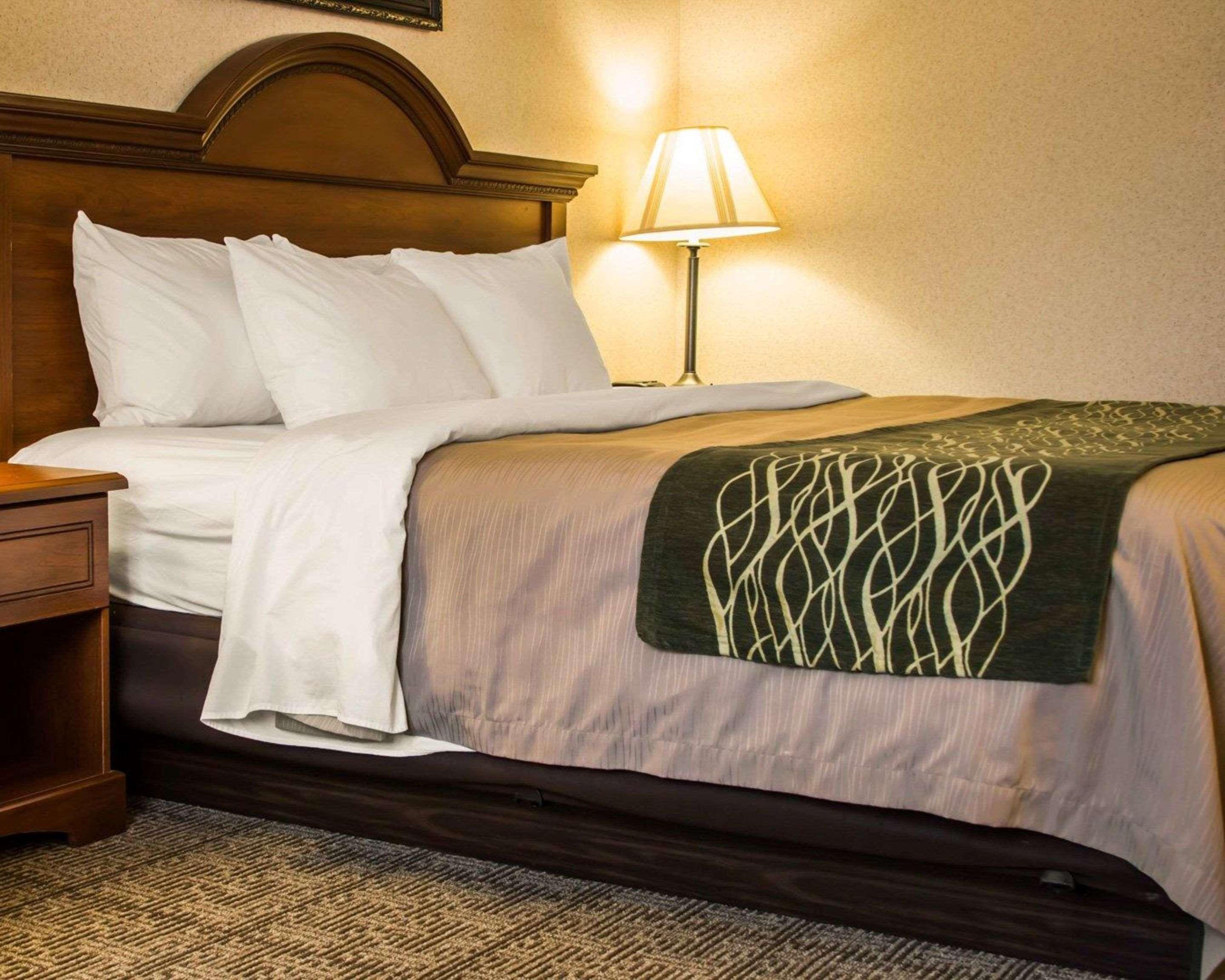 Comfort Inn & Suites Dimondale - Lansing Eksteriør billede