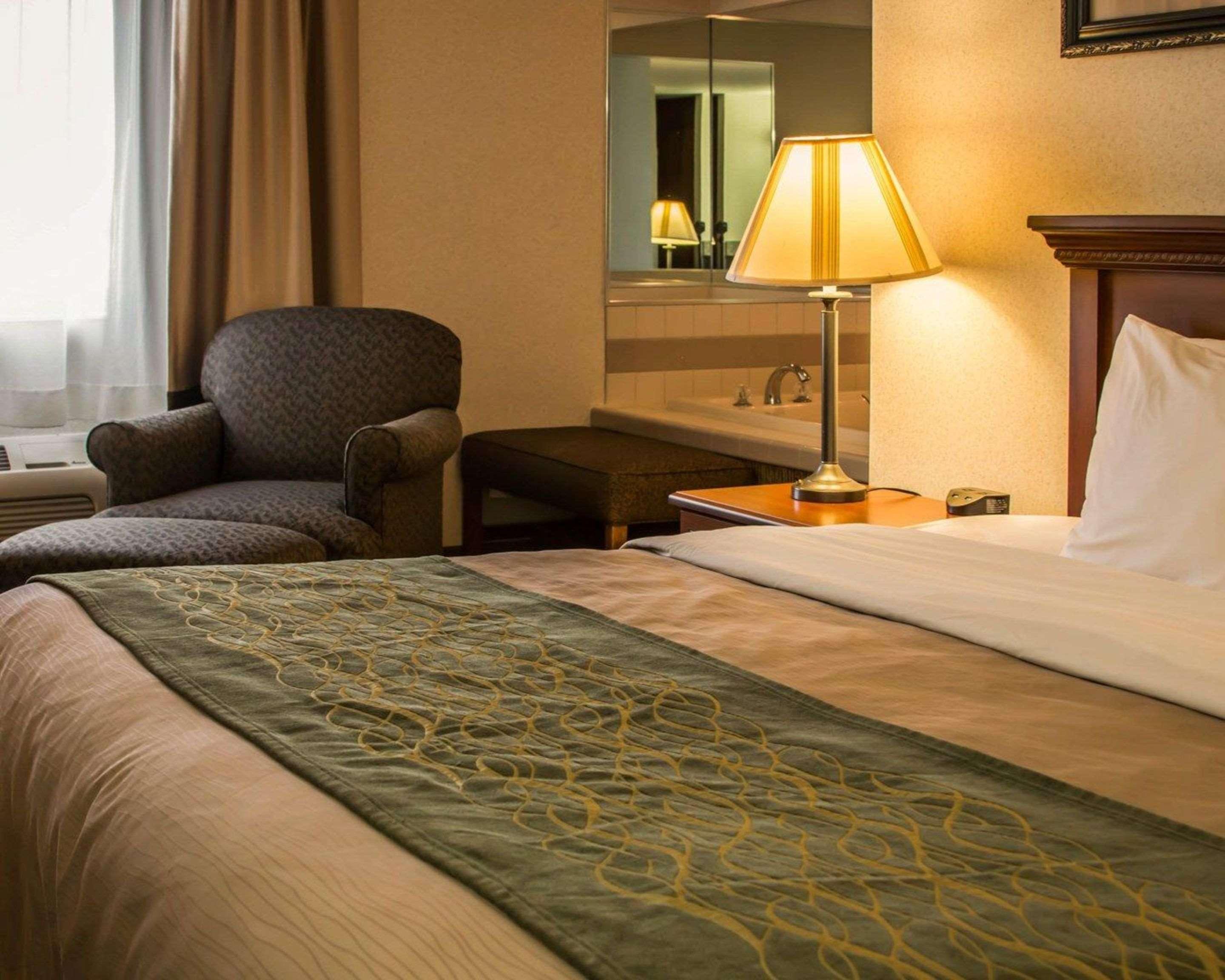 Comfort Inn & Suites Dimondale - Lansing Eksteriør billede