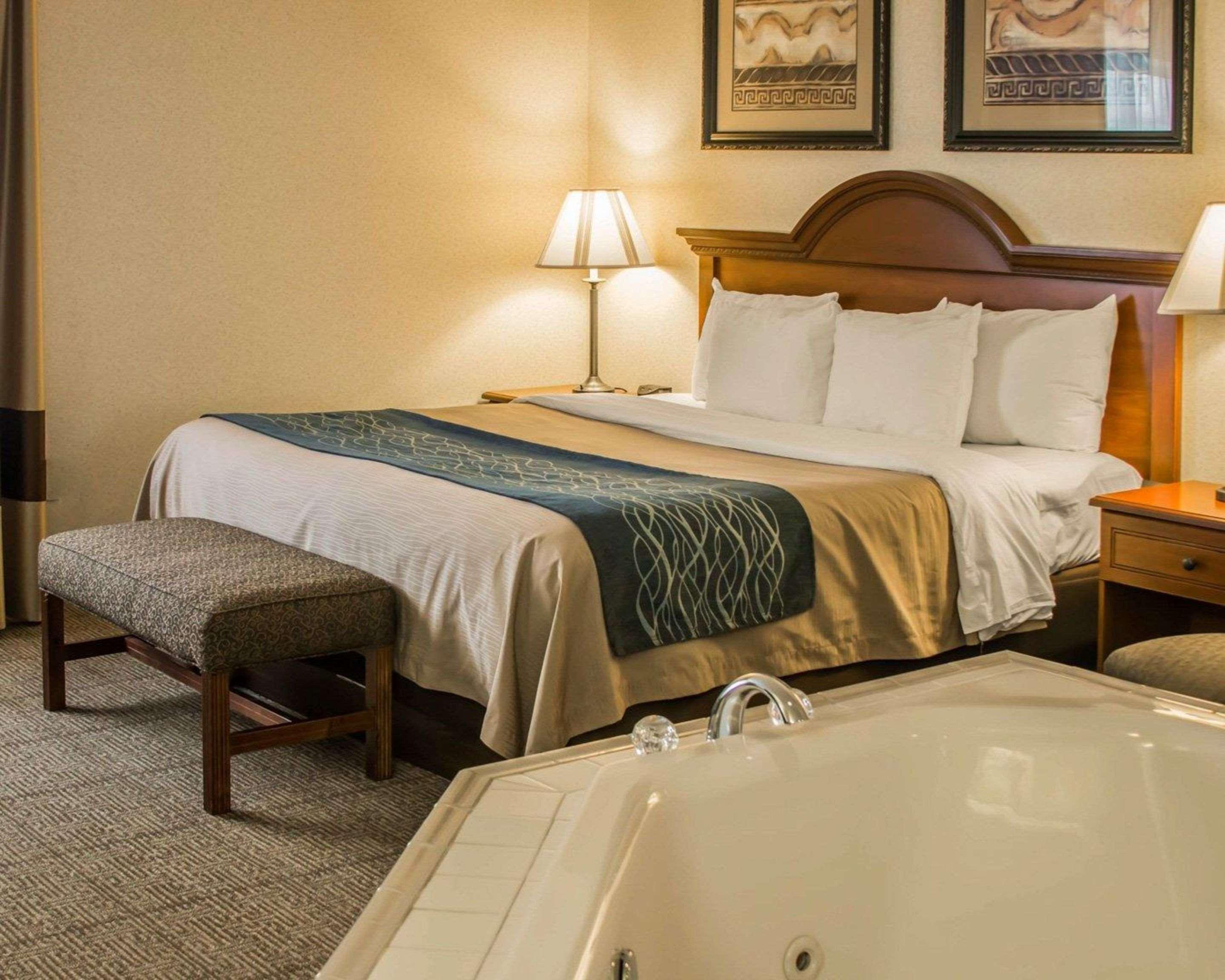 Comfort Inn & Suites Dimondale - Lansing Eksteriør billede