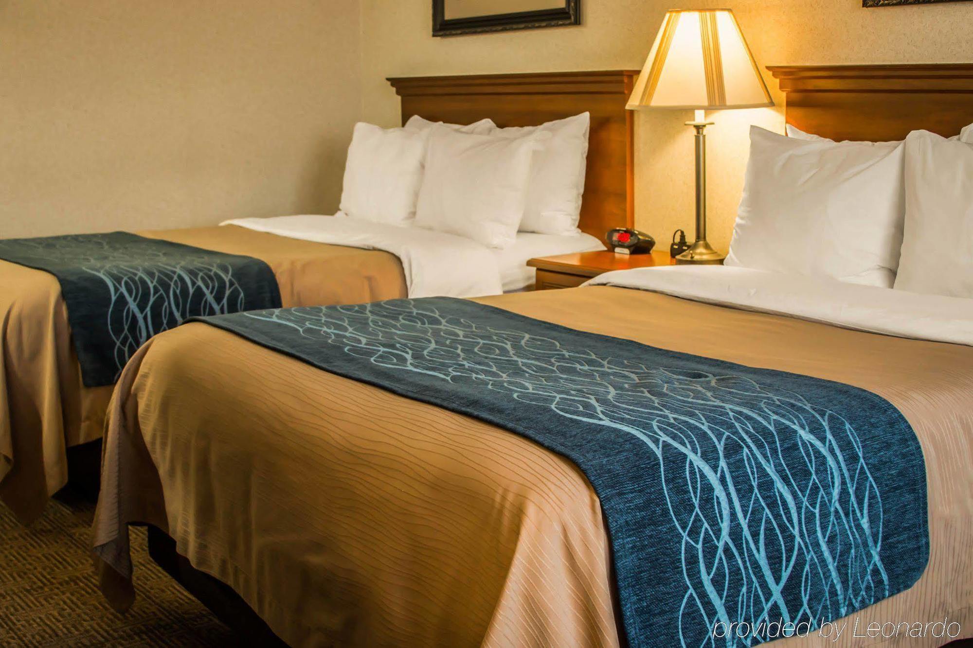Comfort Inn & Suites Dimondale - Lansing Eksteriør billede