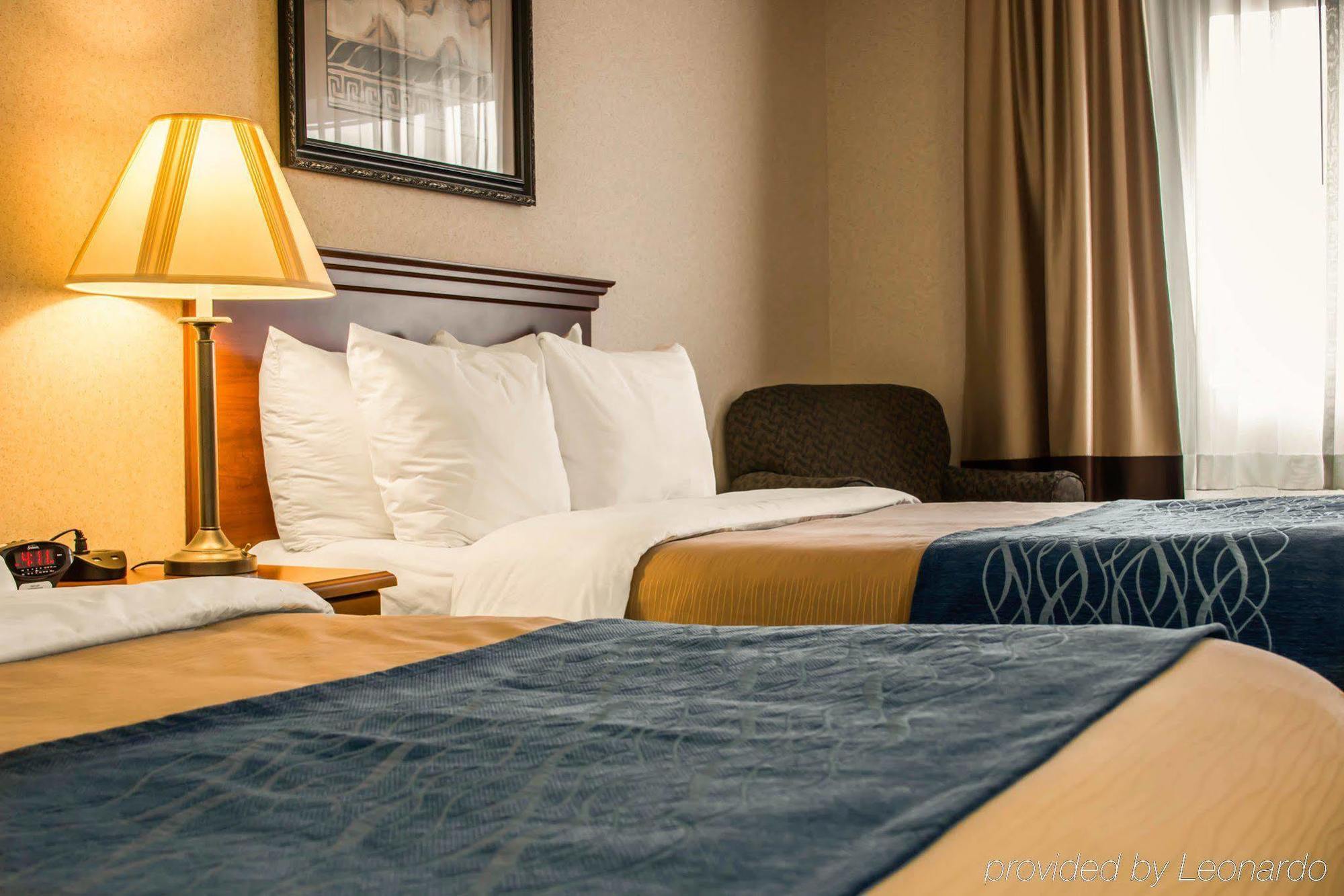 Comfort Inn & Suites Dimondale - Lansing Eksteriør billede