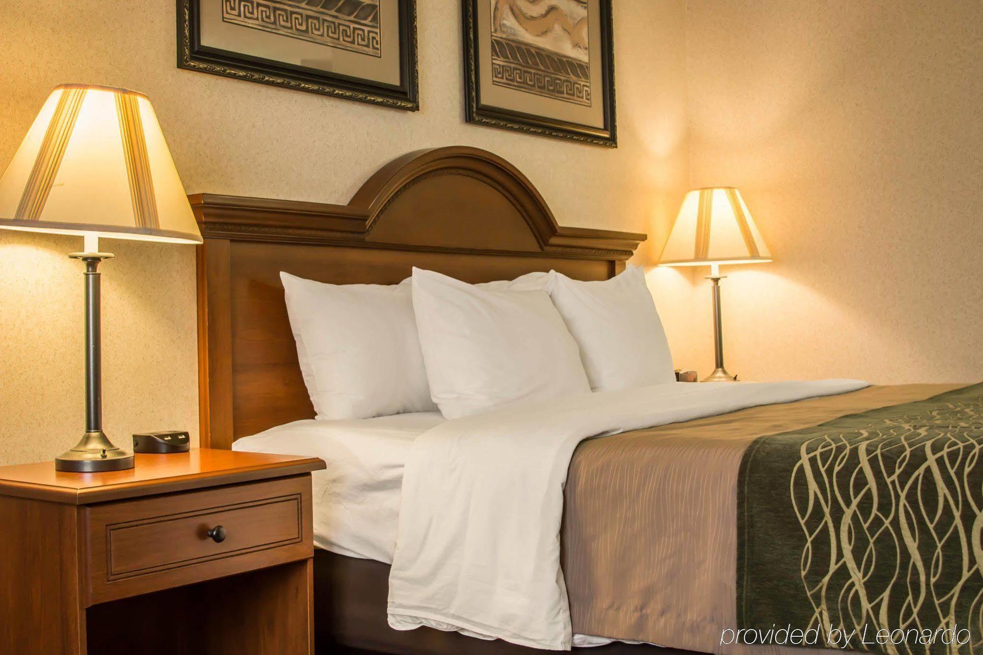 Comfort Inn & Suites Dimondale - Lansing Eksteriør billede